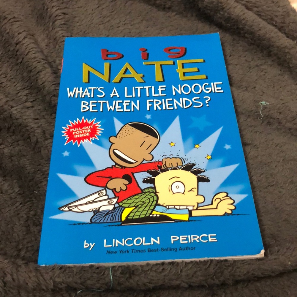 5 Big Nate books!